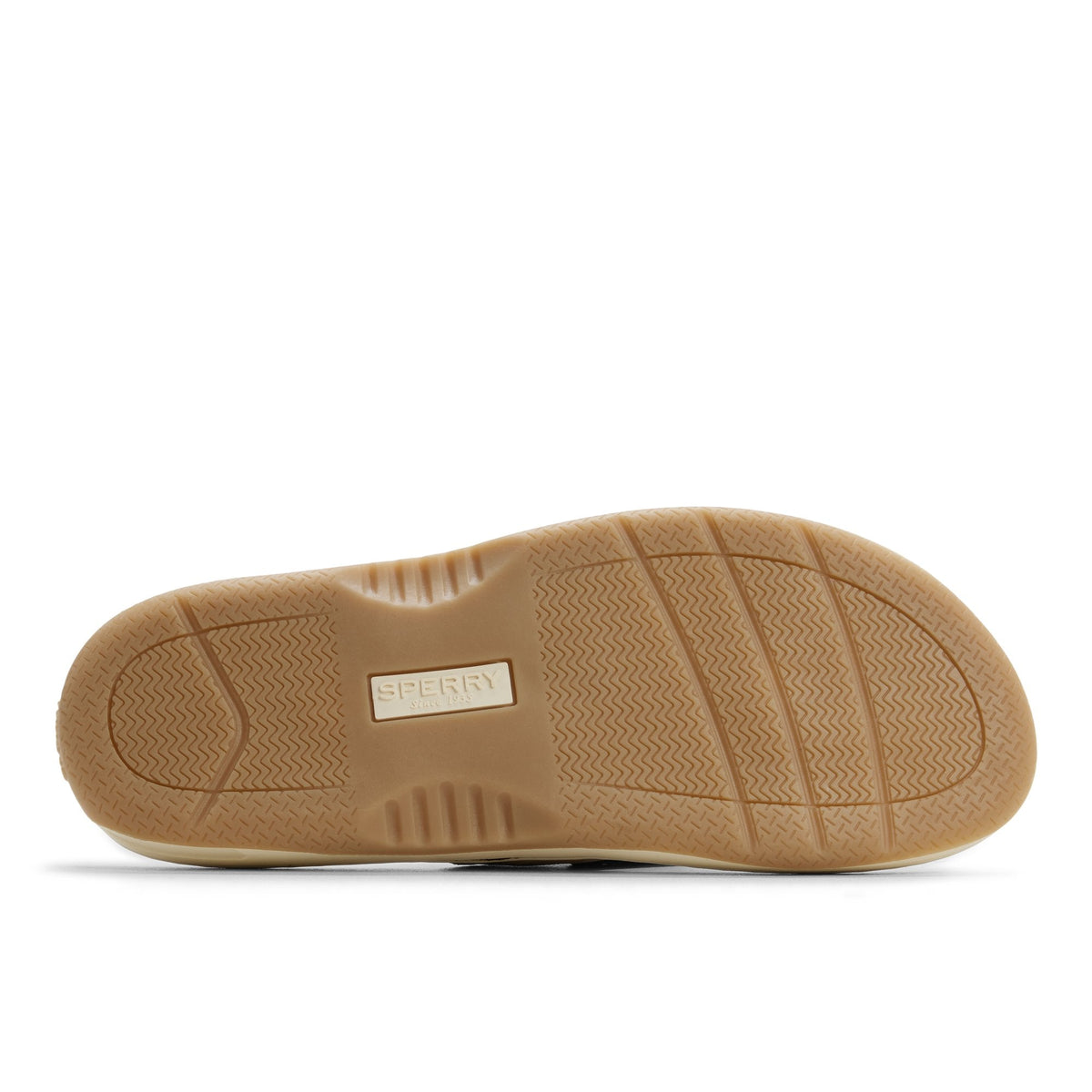 Baitfish Thong Sandal image 5